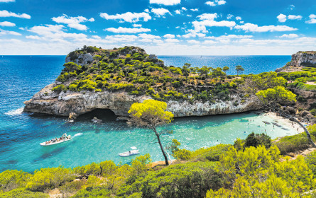 Preisbewusst und Last-Minute-affin