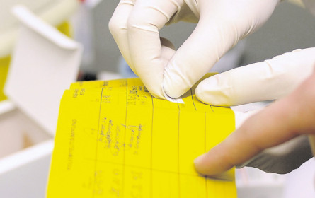 Impfpass-Check empfohlen