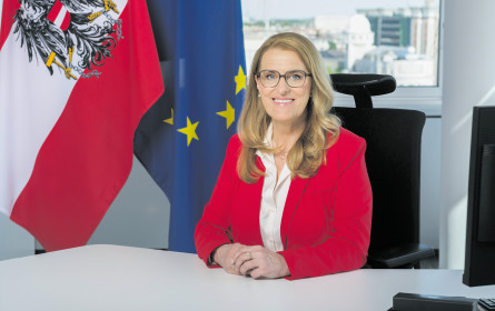 Wie die Geldspritzen für die Kassen wirken sollen