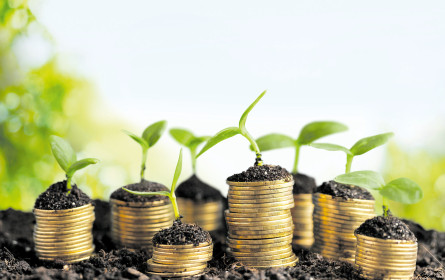 Es grünt so grün bei den heimischen Investments