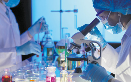 Impulse für die Forschung 