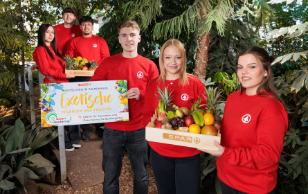 Sonderausstellung im Palmenhaus: Spar-Lehrlinge präsentieren exotische Pflanzen