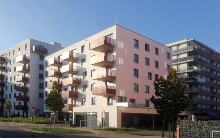 Es geht aufwärts