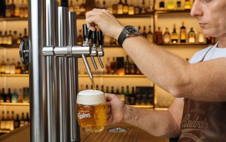 Bierauswahl wird zur strategischen Aufgabe in der Gastronomie