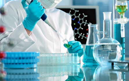 Neues Doktoratsprogramm für Forscher 