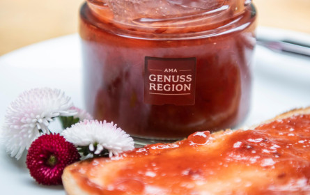 Marmelade feiert ihr Comeback