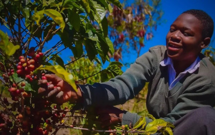 Tchibo bringt Schulkaffee aus Tansania nach Österreich