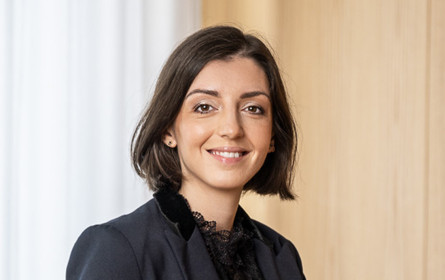 Digitale Recherche prägt Wetten