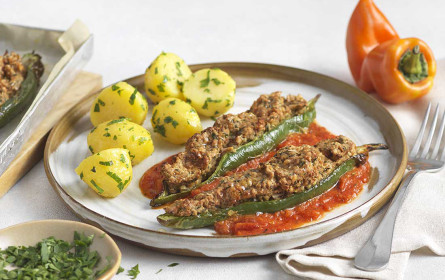 „No Need for Meat“: Kotányi erweitert Sortiment für Profiküchen um pflanzliche Trockenmischungen