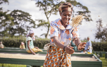 Tchibo bringt Farmkaffees aus Brasilien und Tansania nach Österreich