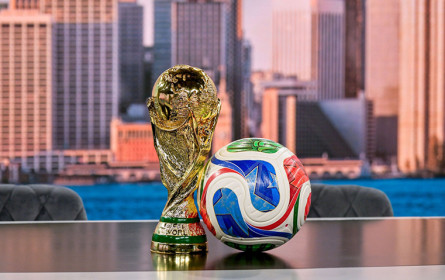 Focus Juni-Bilanz: Fußball-WM lässt Werbeausgaben um 5% steigen