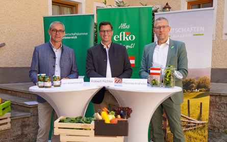 Gurken-Herkunft bleibt oft unklar