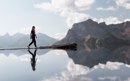 Alpenpanorama  im Mountain Mirror