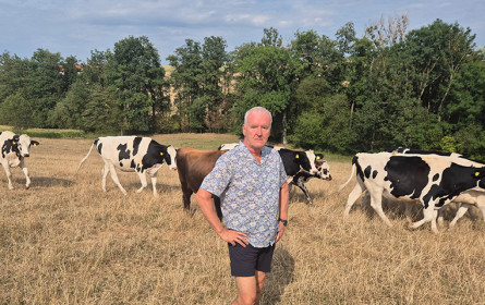IG-Milch fordert neue Dürrehilfe