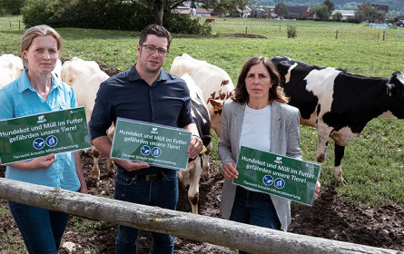 Hundekot gefährdet Rinder