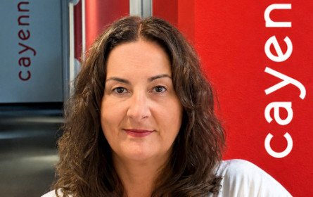 Cayenne bündelt Geschäft und stellt Geschäftsführung neu auf