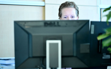 Soft Skills als Jobversicherung