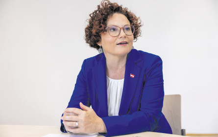 Creative Industries Rat holt Kristoferitsch und Fliszar