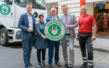 E-Lkw sind bereit, Stromnetz bremst!