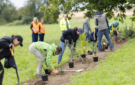 Coca-Cola HBC setzt in Edelstal auf Biodiversität