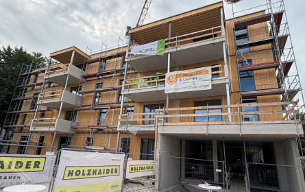 Viel Holz für ein Zuhause