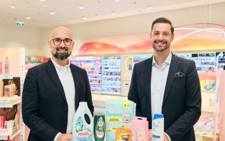 dm und P&G fördern Workshops für Toleranz und Demokratie