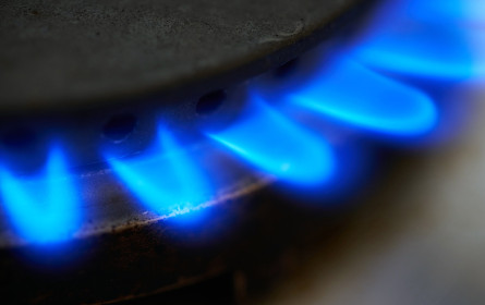 Frische Energieangebote