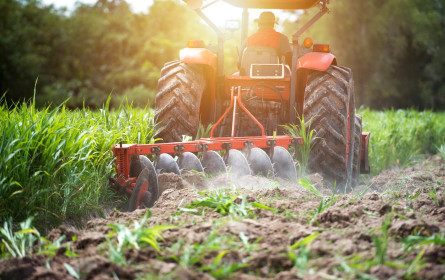 Artenschutz braucht Landwirtschaft und Beweise: Der BeeWild Index zeigt, worauf Österreich Wert legt