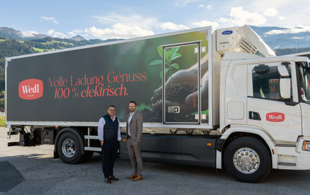 Wedl kann’s elektrisch