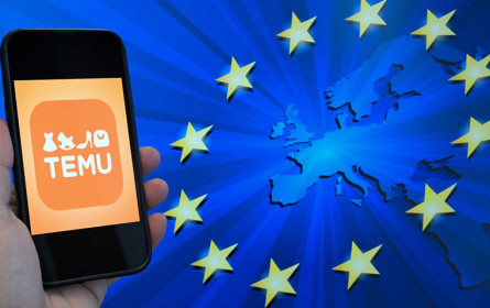 Temu macht nach 200-Millionen-Euro-Strafe Zugeständnisse an Brüssel