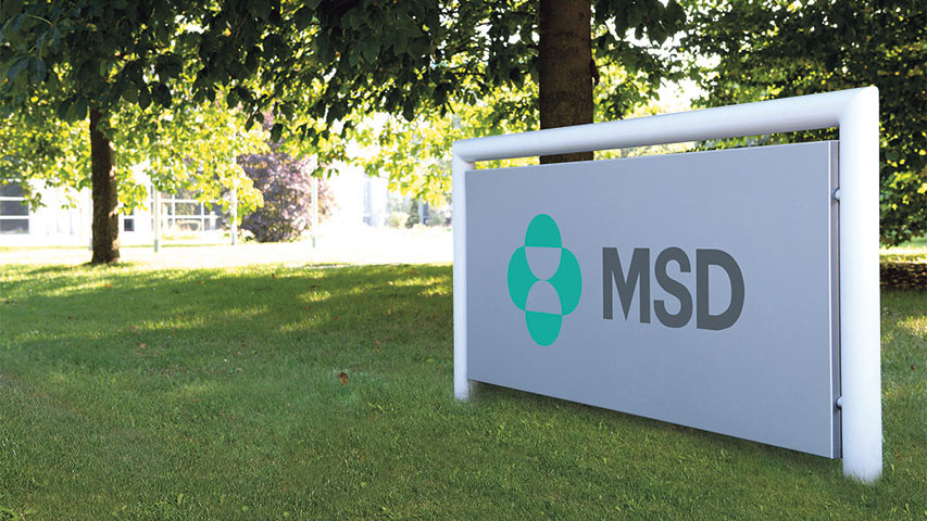 MSD fördert Start-ups