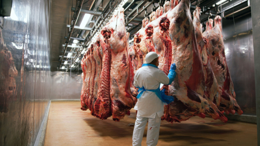 Fleisch: Stabile Branche, gestiegener Konsum