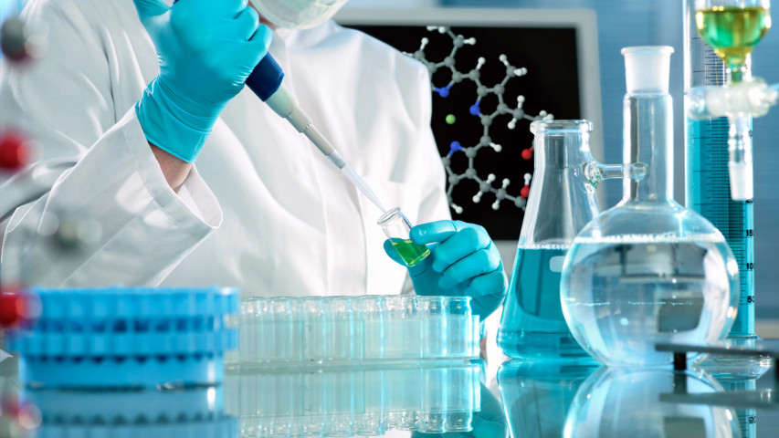 Neues Doktoratsprogramm für Forscher 
