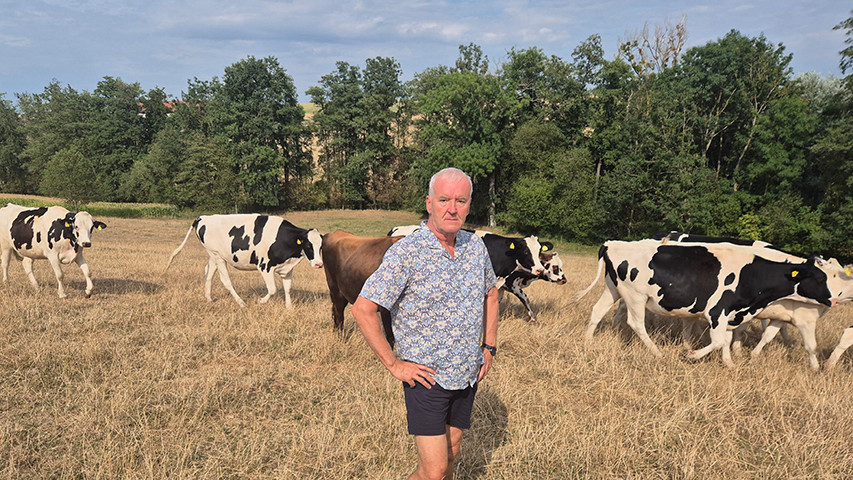 IG-Milch fordert neue Dürrehilfe