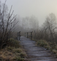 Auf dem Holzweg…