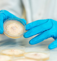 Formulierungskompetenz