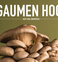 Zweites Gaumen Hoch über Herbst und Winter