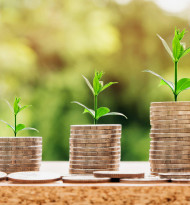 Ein gutes Jahr für Pensionskassen