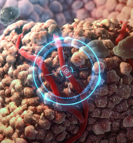 Kommunikationsbedarf zu Krebs nimmt weiter zu