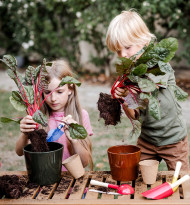 Volksschule Edelsbach erhält Vielfaltspreis von Spar