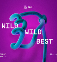 Call for Entry: Golden Drum 2026