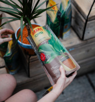 Seramis bringt Topper gegen Trauermücken in Trendfarben