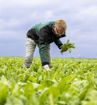 Ostern bleibt kulinarisch traditionell geprägt