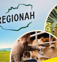 Beste Qualität aus Ihrer Nähe