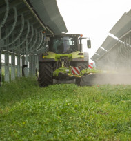 Agri-PV im Fokus: Bionet-Fachtag im Seewinkel zeigt Potenziale für Landwirtschaft und Energie