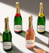 Hochriegl präsentiert sich in neuem Design