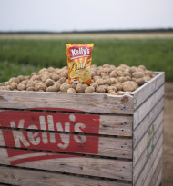 Kelly sichert heimische Kartoffeln trotz Dürre