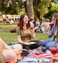 Genuss-Festival lockte 150.000 Besucher in den Wiener Stadtpark