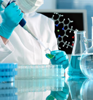 Neues Doktoratsprogramm für Forscher 