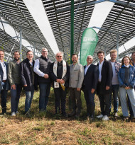 Agri-PV-Projekt verbindet Weinbau und Stromerzeugung